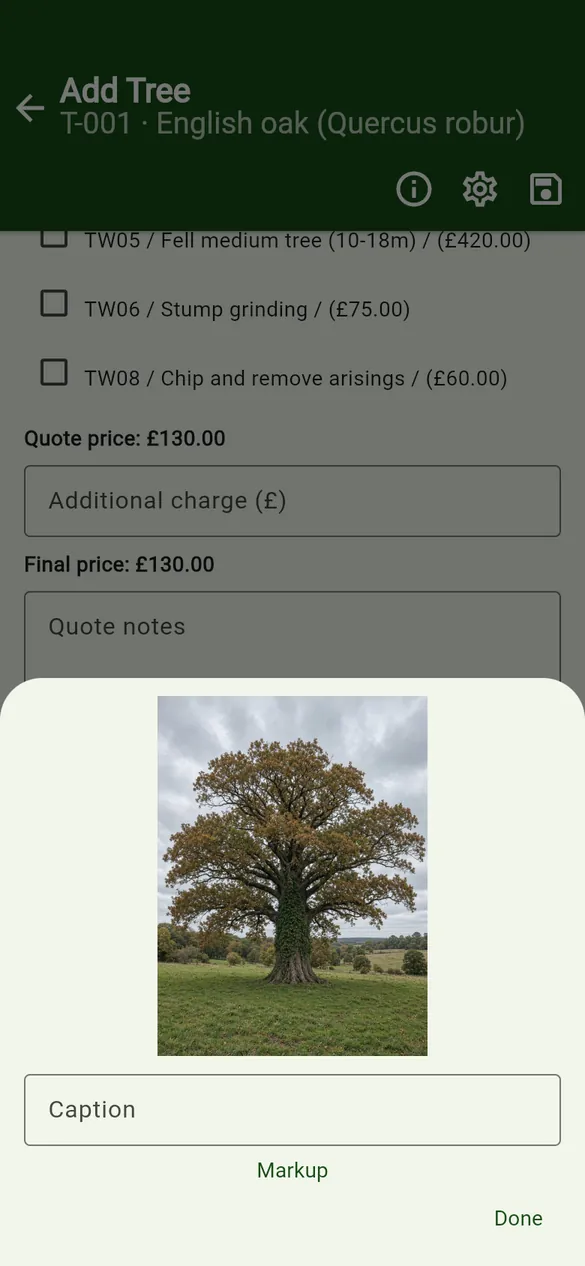 Tap a thumbnail to open it.